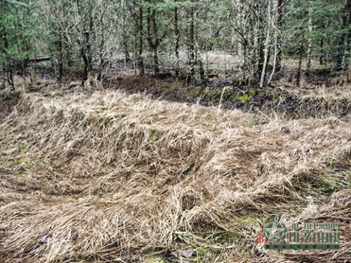 'Ракетная 'Ракетная