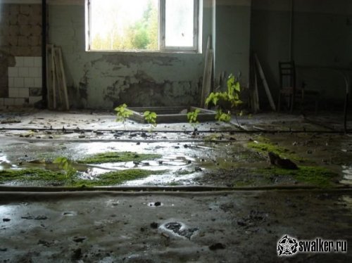 'Добро 'Добро