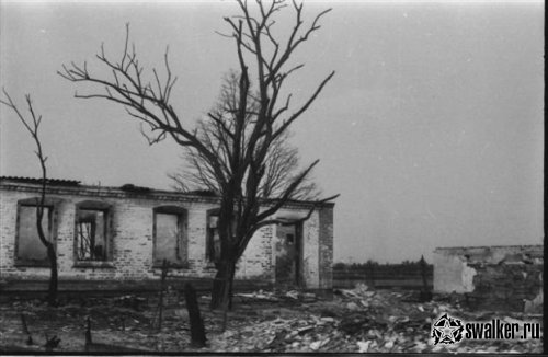 'Добро 'Добро