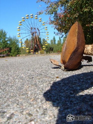 'Добро 'Добро