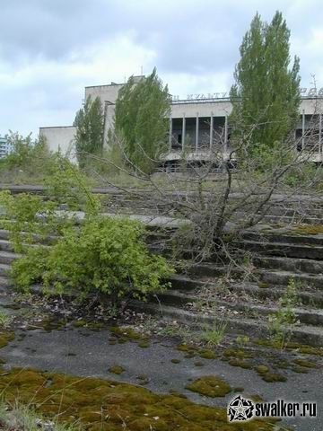 'Добро 'Добро