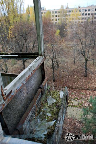 'Добро 'Добро