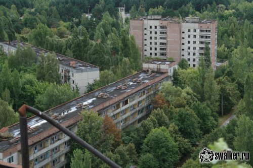 'Добро 'Добро