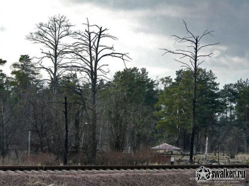 'Добро 'Добро