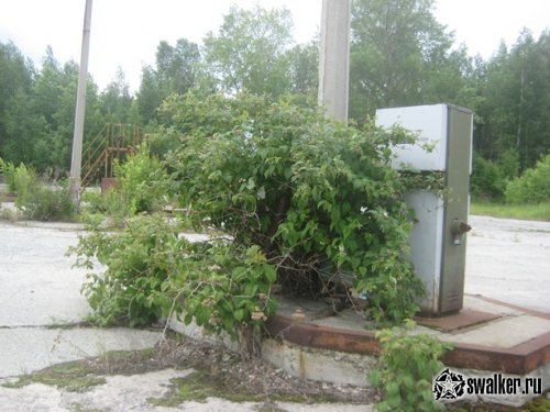 Заброшенная бензо заправочная станция, Свердловская область Заброшенная бензо заправочная станция, Свердловская область