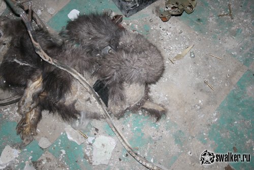 Заброшенный механосборочный завод, Свердловская область