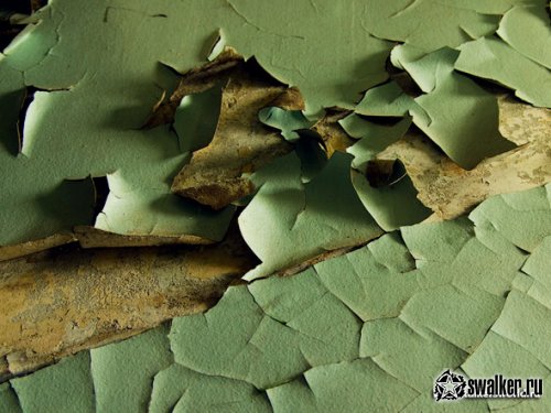 Заброшенный дом отдыха в Гаграх, Абхазия Заброшенный дом отдыха в Гаграх, Абхазия