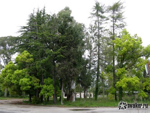 Заброшенный аэропорт