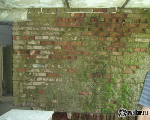 Вечно молодое курортное местечко, Свердловская область Вечно молодое курортное местечко, Свердловская область