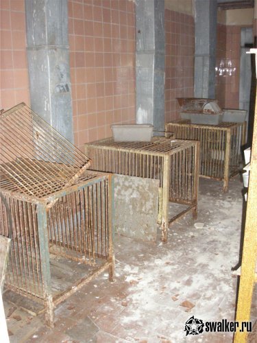 Заброшенный Исследовательский Институт Микробиологии Заброшенный Исследовательский Институт Микробиологии