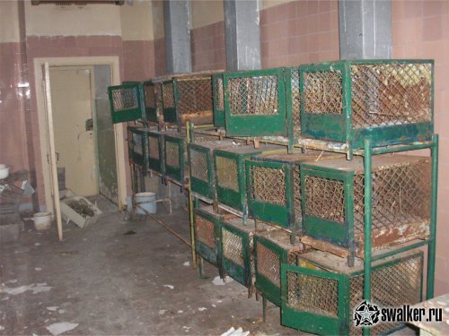 Заброшенный Исследовательский Институт Микробиологии Заброшенный Исследовательский Институт Микробиологии