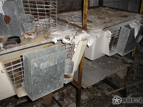 Заброшенный Исследовательский Институт Микробиологии Заброшенный Исследовательский Институт Микробиологии