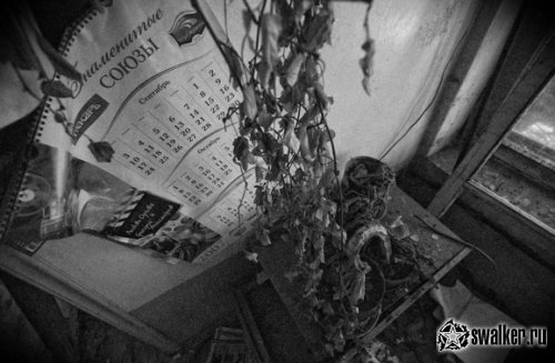 Хлебозавод в Московской области Хлебозавод в Московской области