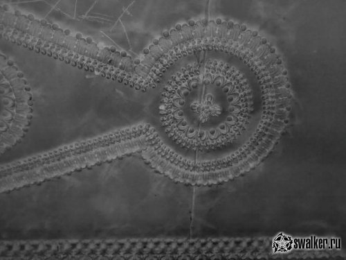 Заброшенная олимпийская гостиница СССР