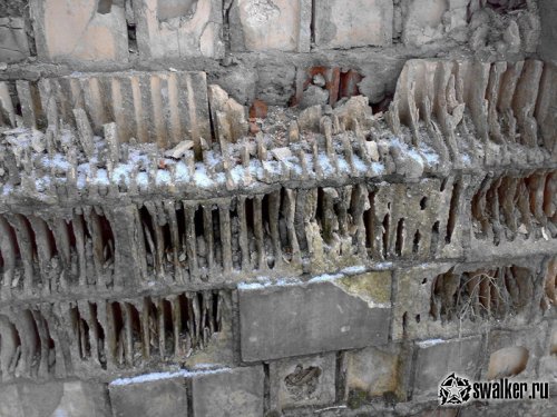 Заброшенная олимпийская гостиница СССР