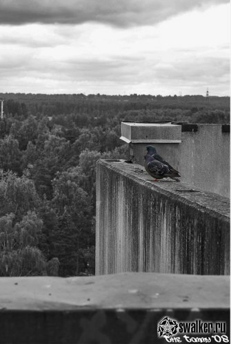 Недостроенное НИИ Астрофизики