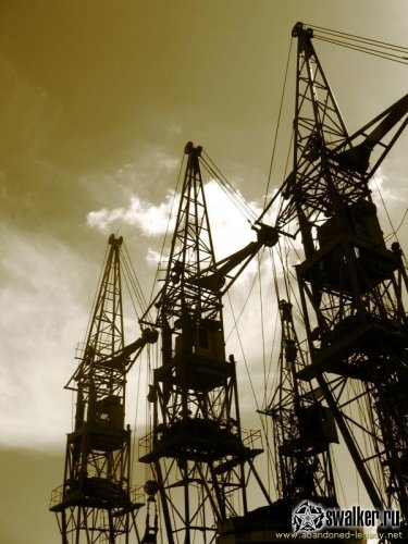 Кладбище башенных кранов. Шабаны