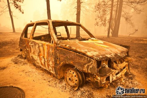 Ситуация в Стране