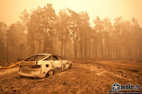 Ситуация в Стране