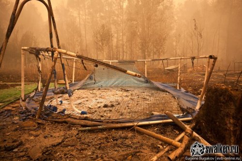 Ситуация в Стране