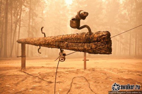 Ситуация в Стране