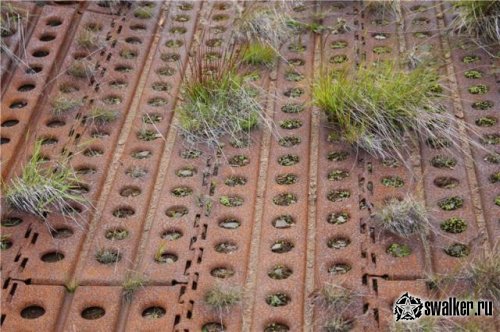 Опустошённый Кольский Полуостров