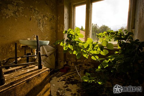 Заброшенный детский санаторий «Сказка » (Икша, Московская область)