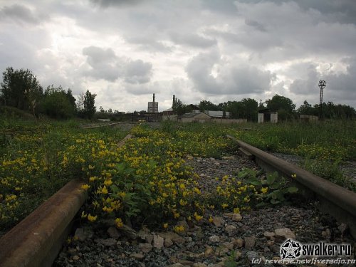 Цементный завод Цементный завод