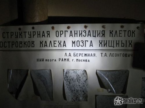 Заброшенный НИИ нейронной хирургии мозга, Москва Заброшенный НИИ нейронной хирургии мозга, Москва