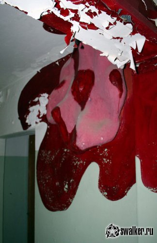 Заброшенный детский санаторий «Сказка » (Икша, Московская область)