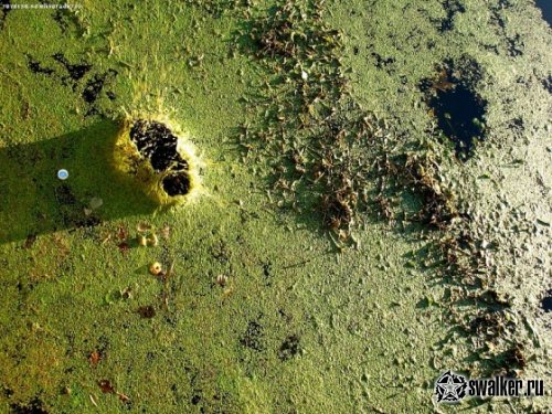 Заброшенный завод по производству шелка и шелковых изделий