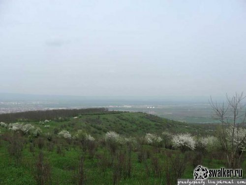 Развалины в Грозном