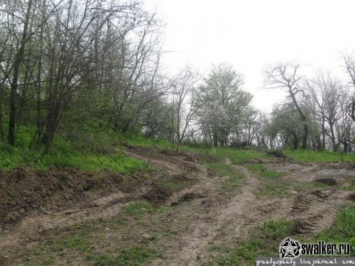 Развалины в Грозном