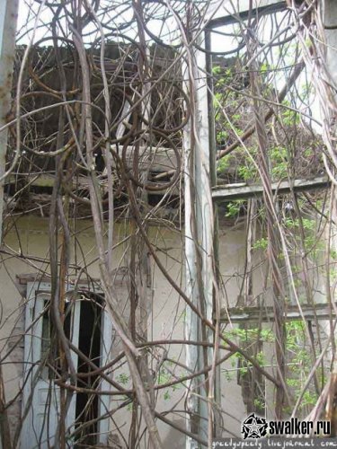 Развалины в Грозном