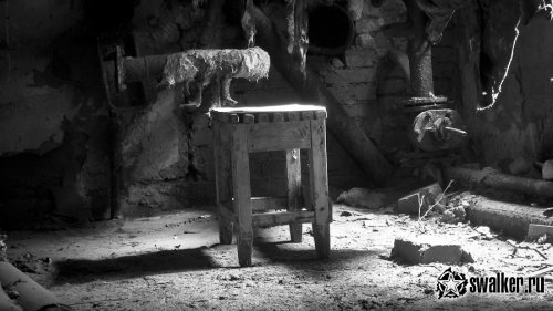 Заброшенный санаторий Речкуновка, Новосибирск