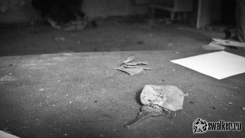 Заброшенный санаторий Речкуновка, Новосибирск