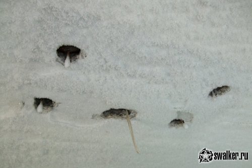 Заброшенный санаторий Речкуновка, Новосибирск