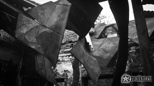 Заброшенный санаторий Речкуновка, Новосибирск