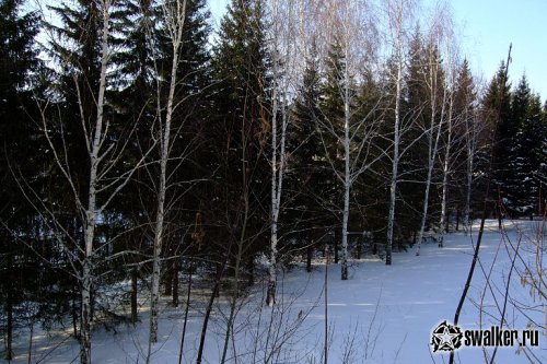 Заброшенный санаторий Речкуновка, Новосибирск
