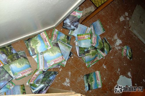 Заброшенный санаторий Речкуновка, Новосибирск