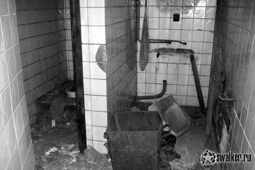 Брошенный валенко-чесальный завод