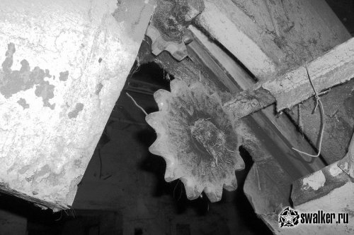 Брошенный валенко-чесальный завод