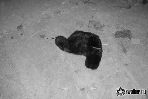 Брошенный валенко-чесальный завод