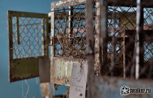 Заброшенная лаборатория, Киев