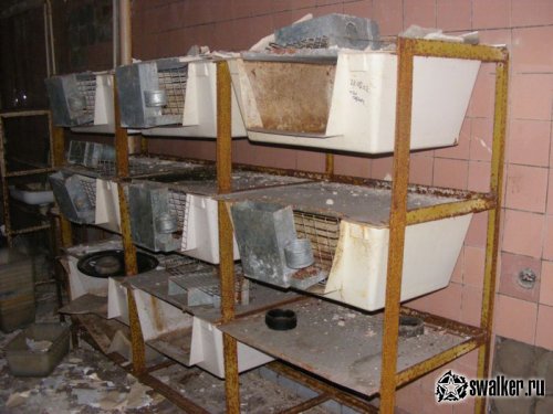 Заброшенная лаборатория, Киев