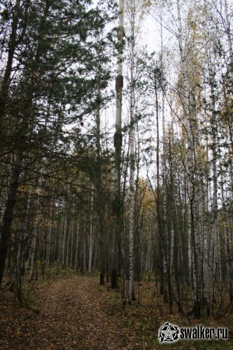 Заброшенная Радиостанция «РВ-5 им. Свердлова» в Екатеринбурге