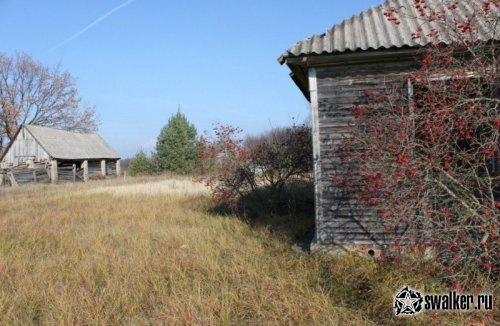 Село Корогод, Киевская область
