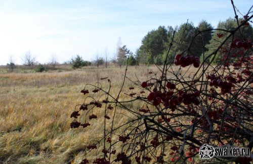 Село Корогод, Киевская область