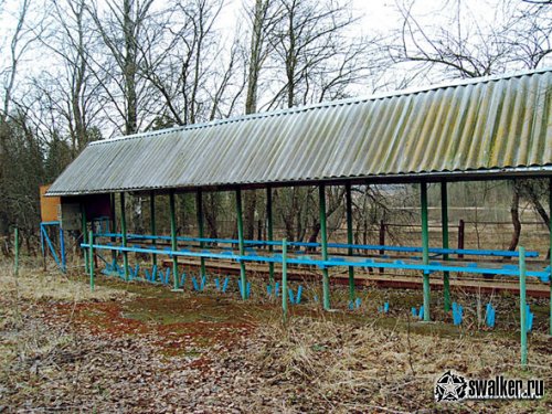Заброшенный детский лагерь имени Ю. Гагарина, Новосибирская область