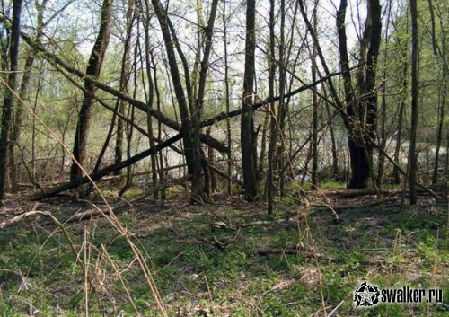 Деревня Острогляды, Гомельская область